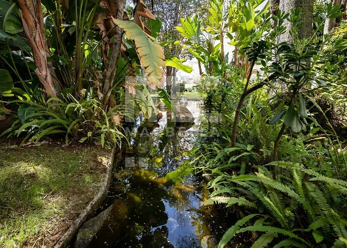 Lovely Center Garden Views 130 Lejlighed Marbella